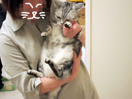 111015_03.jpg