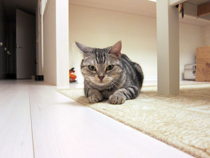 111016_03.jpg