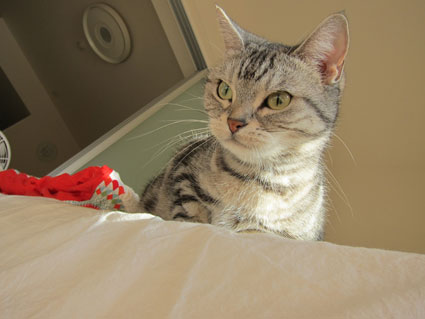 111025_02.jpg