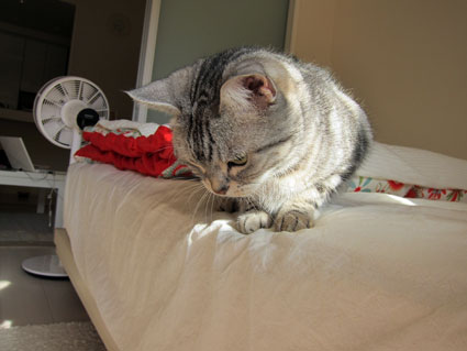 111025_04.jpg