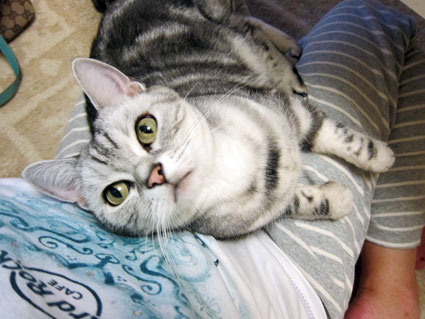 111026_01.jpg