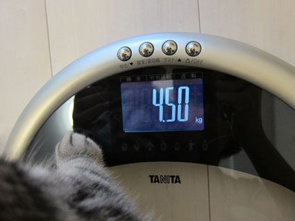 111027_05.jpg