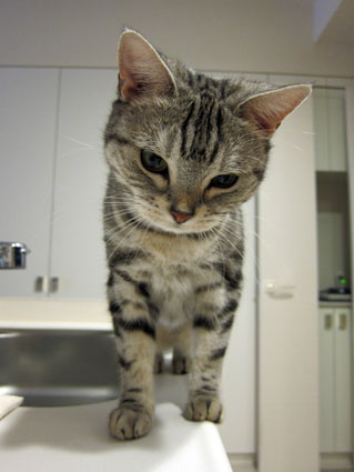 111027_07.jpg