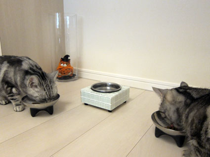 111027_09.jpg