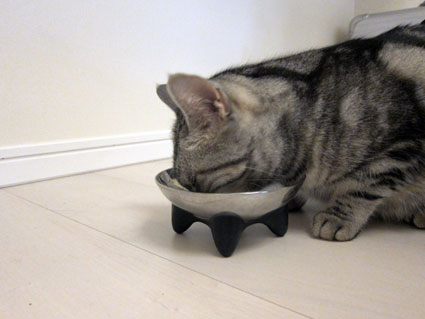 111027_10.jpg
