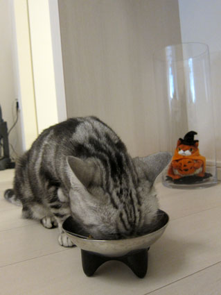 111027_11.jpg