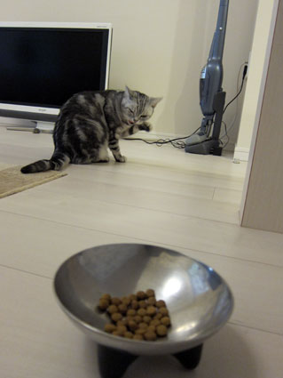 111027_13.jpg