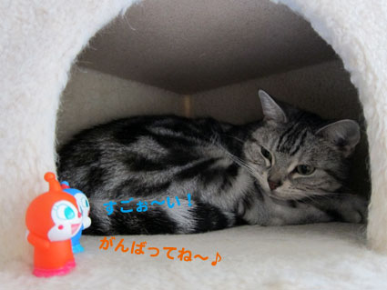 111028_01.jpg