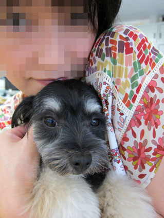 111029_07.jpg