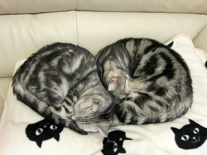 111128_05.jpg