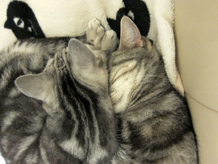111128_09.jpg