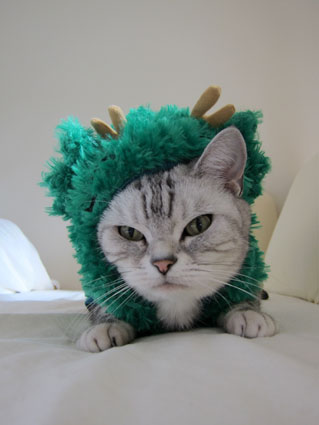 111231_02.jpg