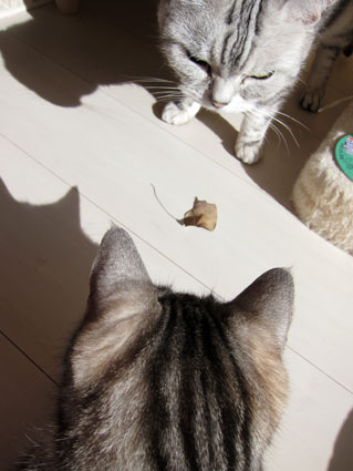 120204_03.jpg