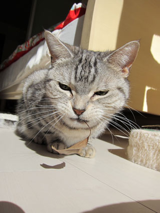 120204_04.jpg