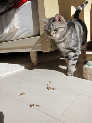 120204_06.jpg