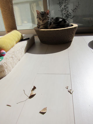 120204_07.jpg