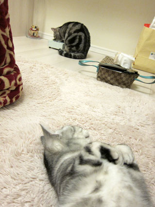120207_04.jpg