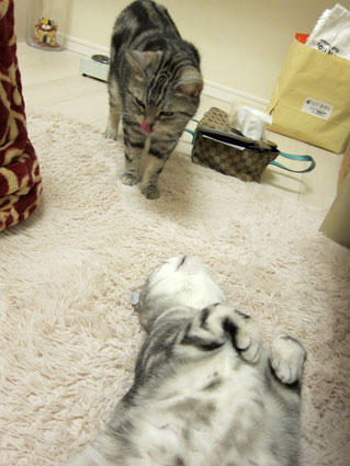 120207_05.jpg
