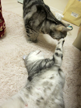120207_07.jpg