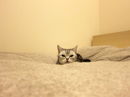 120210_01.jpg