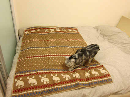 120210_04.jpg