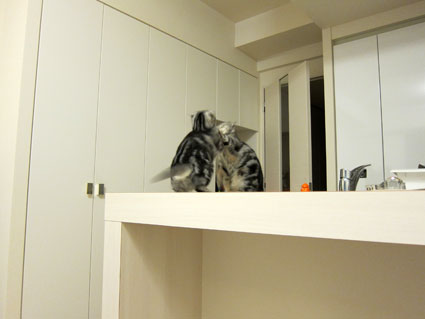 120215_02.jpg