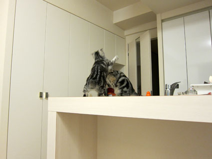 120215_03.jpg