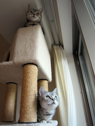 120221_11.jpg