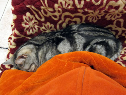 120222_01.jpg
