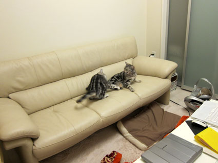 120223_02.jpg