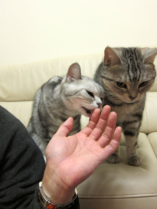 120224_06.jpg
