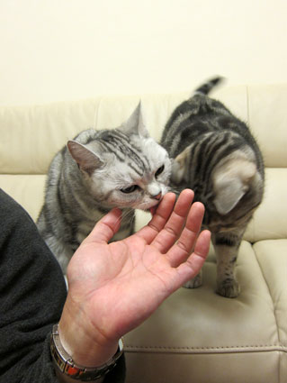 120224_07.jpg