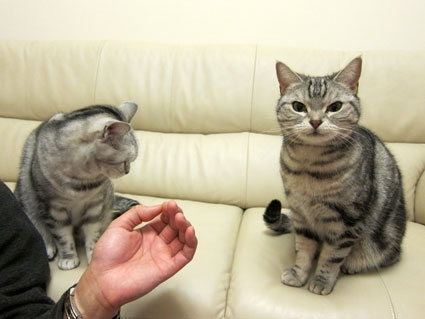 120224_08.jpg