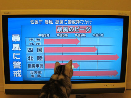 120404_05.jpg