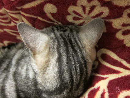 120405_04.jpg