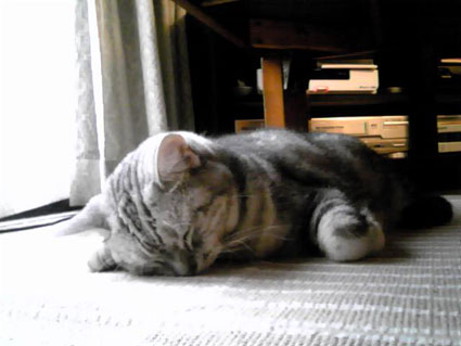 120405_06.jpg