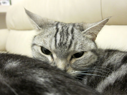 120407_07.jpg
