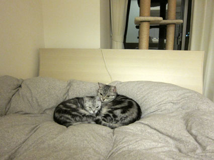 120410_02.jpg