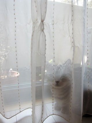 120412_02.jpg