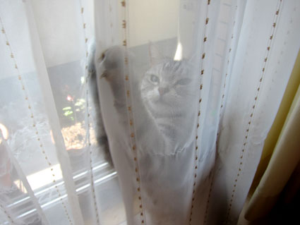 120412_06.jpg
