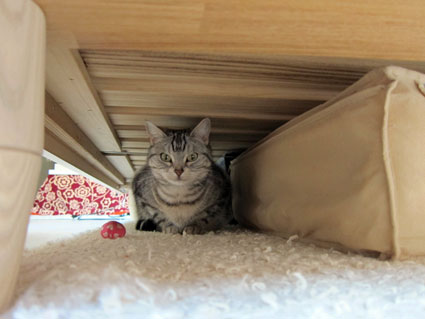 120412_07.jpg