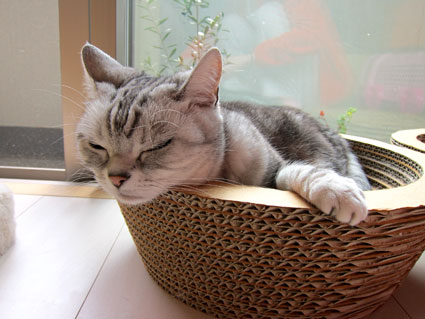 120413_02.jpg
