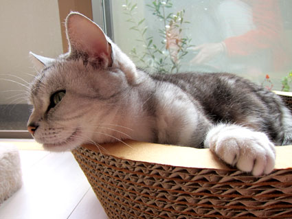 120413_03.jpg
