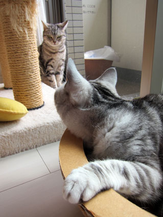 120413_04.jpg