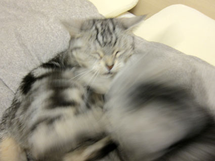 120414_04.jpg