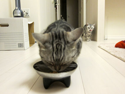 120417_06.jpg
