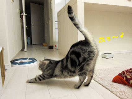 120417_07.jpg