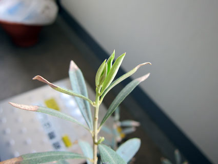120424_02.jpg