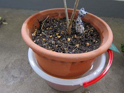 120424_03.jpg
