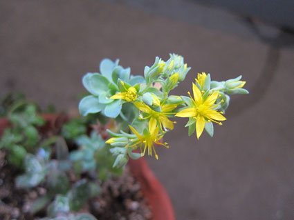 120424_05.jpg